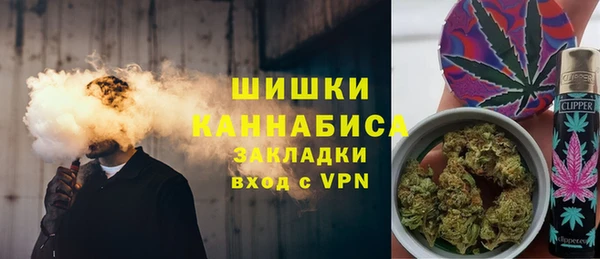стаф Арсеньев