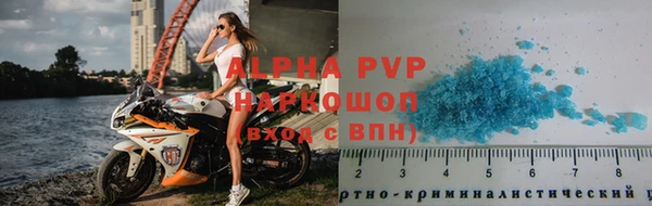 стаф Арсеньев