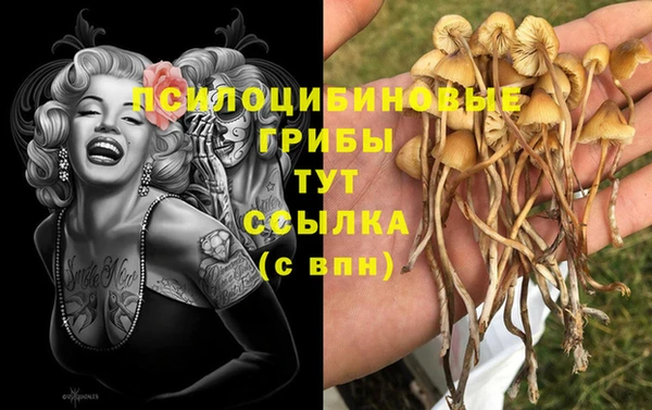 стаф Арсеньев