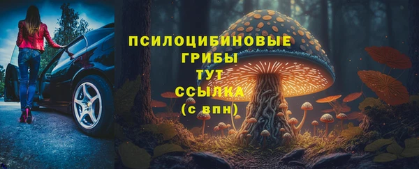 стаф Арсеньев