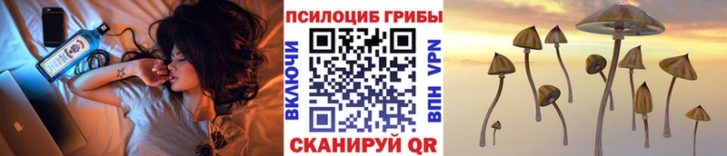 Псилоцибиновые грибы GOLDEN TEACHER  мега онион  Тетюши 